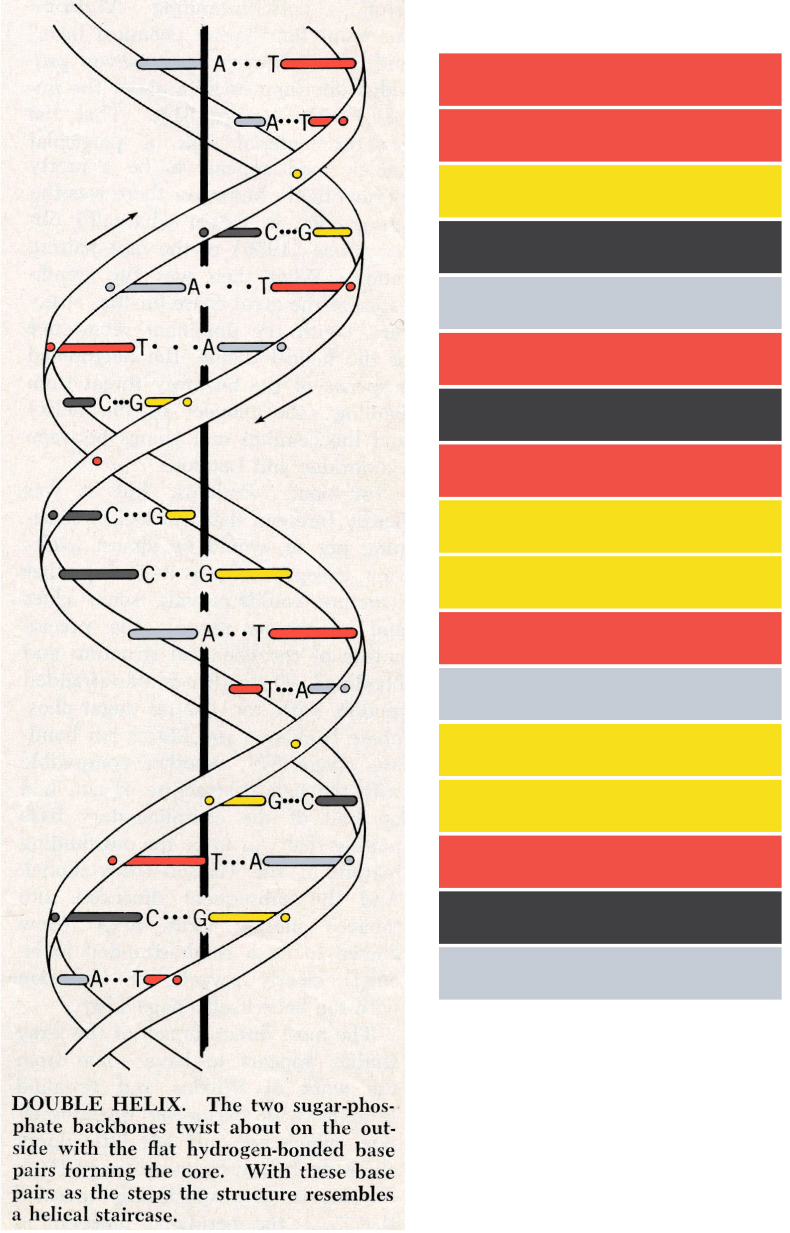 NEUBAU_YEAR_main_file