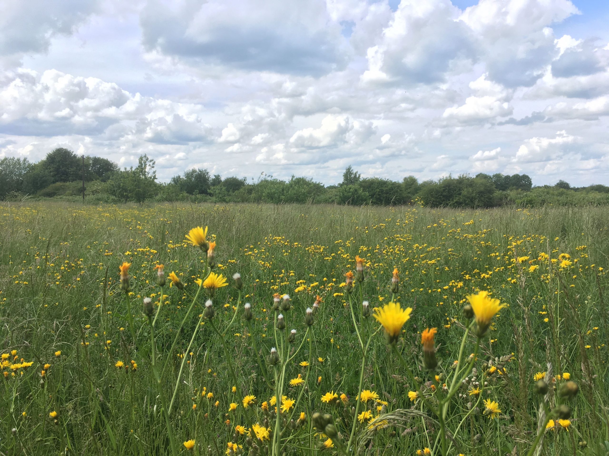 NEUBAU_Farm-House_cover